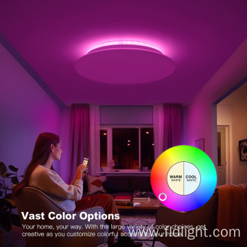 Minimalist Dimmable Color surface mounted Ceiling Lamp